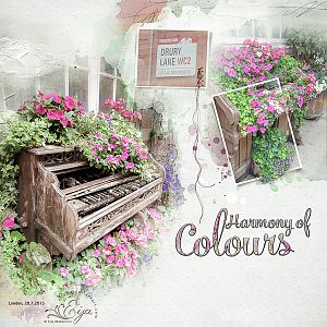 Harmony of Colours - AnnaColor