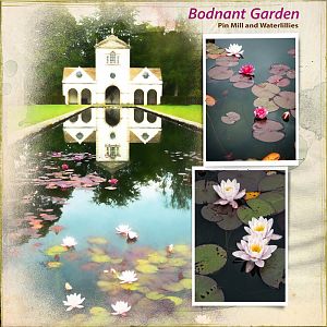 Bodnant Garden 2
