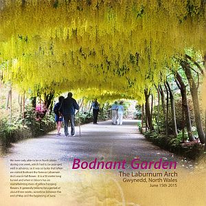 Bodnant Garden 1
