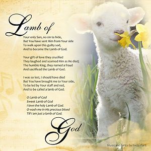 NBK Birthday Challenge_Lyrics_Lamb of God