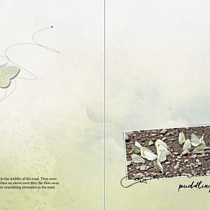 AnnaLIFT 7/9/16 - Puddling Butterflies