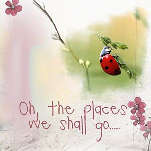 ESHAS-9  Oh the Places