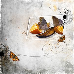 Butterflys on oranges