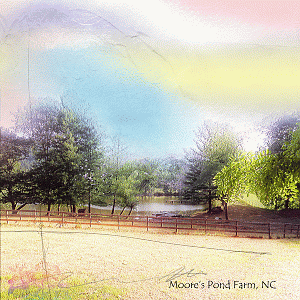 Anna Color Challenge - Moore's Pond Farm
