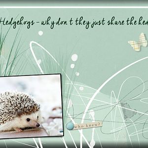 AnnaLIFT 7-9-16 to 7-15-16 ATC 2016-35 Hedgehogs