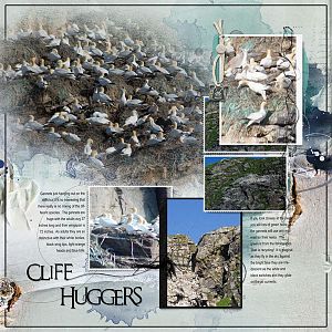 2016Jun27 cliff huggers