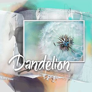 Template Challenge: Dandelion