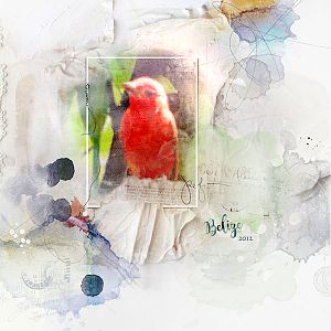 Red Bird - AnnaLift 8/13/16-8/19/16
