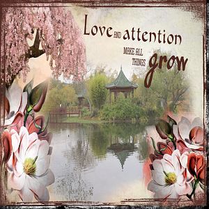 Love and Attention