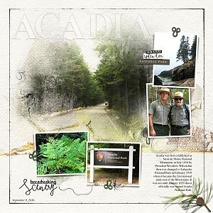 Welcome to Acadia National Park