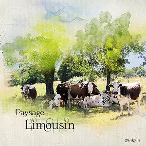 Landscape Limousin