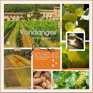 Vendanges