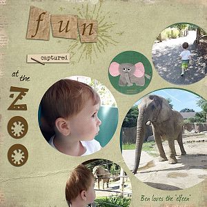 The Zoo - Joanne Brisebois Life List Challenge