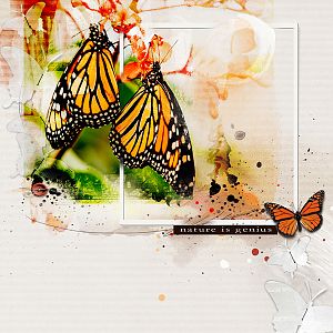 AnnaColor: Pam's Butterfly Migration