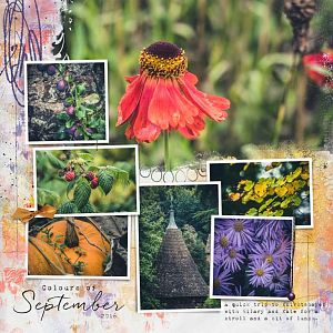 The Colours of September