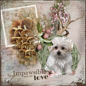ImPAWsible Not to Love
