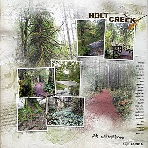 Holt Creek Trail