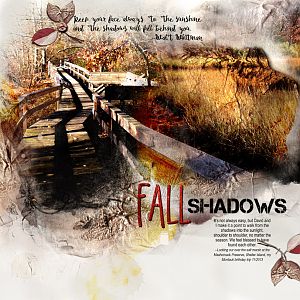 Fall Shadows