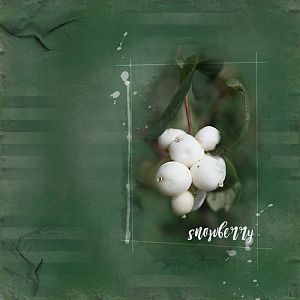 Anna Lift_10-01-16_Snowberry