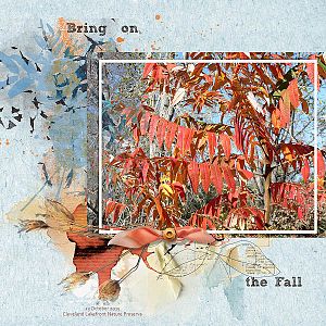 Bring Fall