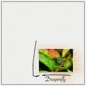 2016Aug dragonfly Anna lift