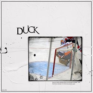 2016Oct6 duck