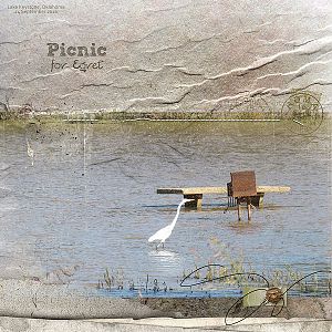 Picnic for Egret
