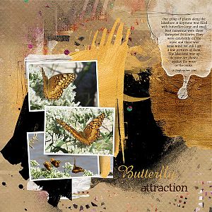 Butterfly Attraction