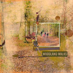 Woodland walks