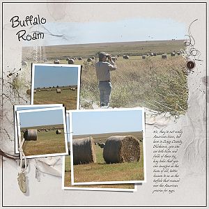 AnnaLift 10-15 - Buffalo Roam