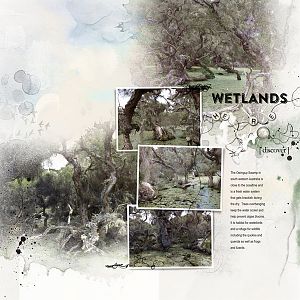 AnnaLift - Wetlands