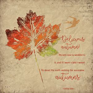 Joanne Brisebois_10-16_Delicious Autumn