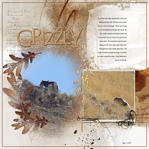 2015Sept11 grizzly