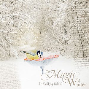 The Magic Of Winter