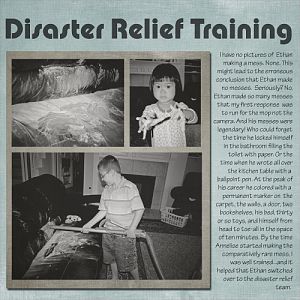 Disaster Relief Training