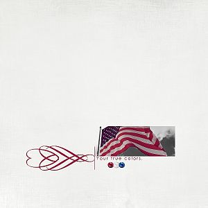 TaylorMade ~ Flag Day