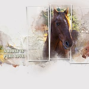 AnnaColor: Horse Love