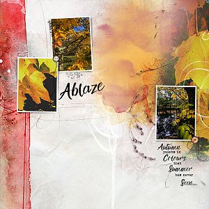 Autumnal Colours- Ablaze