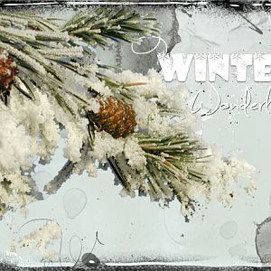 ATC 2016-82 Winter Wonderland