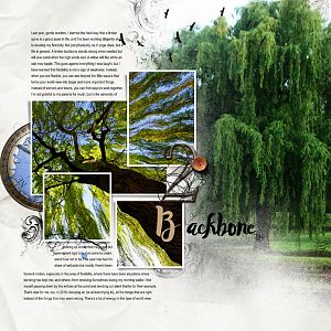 B is for Backbone--ProjAlbum2016
