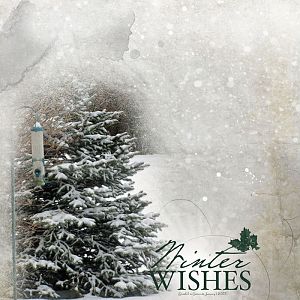 Winter Wishes