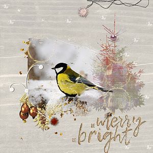 Merry bright