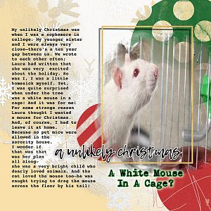 An Unlikely Christmas: A White Mouse