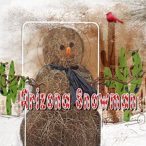 AnnaColor: Arizona Snowman