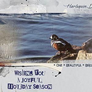 Harlequin Holiday Card
