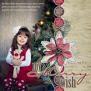My Merry Wish