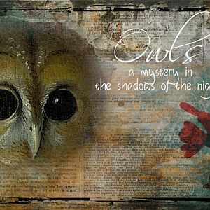 ATC 2017-05 Owls