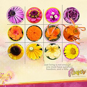 Anna Color Lift_01-13-17_Flower Grid