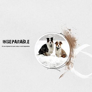 Insparable