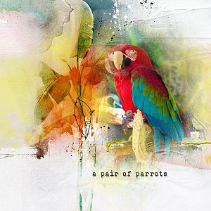 Challenge 5: A Pair of Parrots